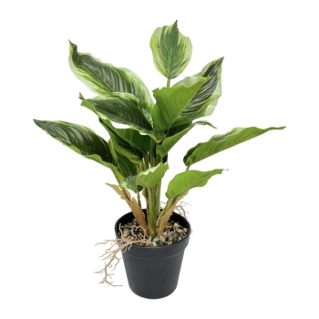 Planta Artificiala 38CM Hosta